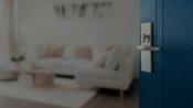 Axia Featured