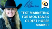 Montana Horse Market Thumbnail